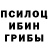 Галлюциногенные грибы прущие грибы Youki Smeet