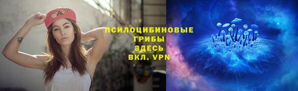 spice Коряжма