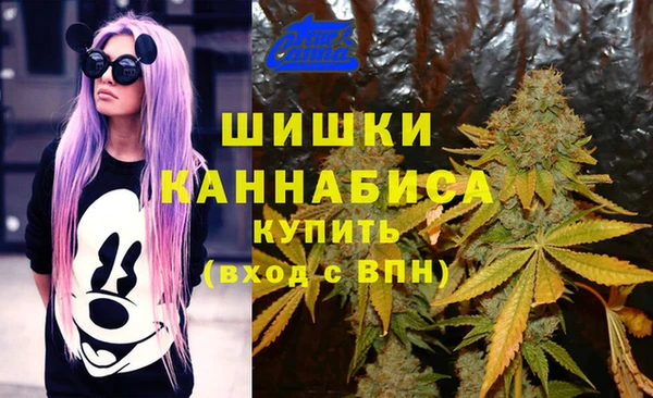 круглые Корсаков