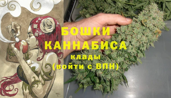 spice Коряжма